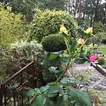 An Der Heide. Weisswasser
