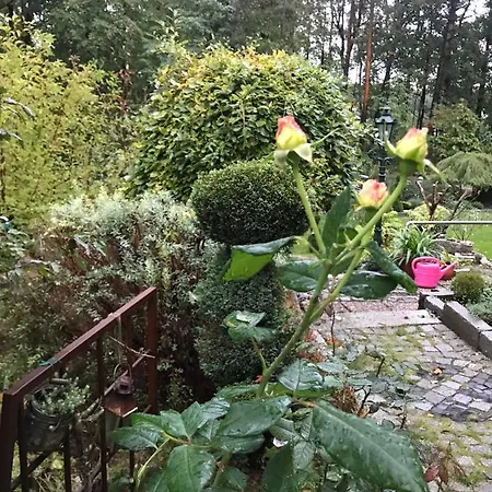 An Der Heide. Weisswasser