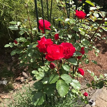 Dom wakacyjny An Der Heide.