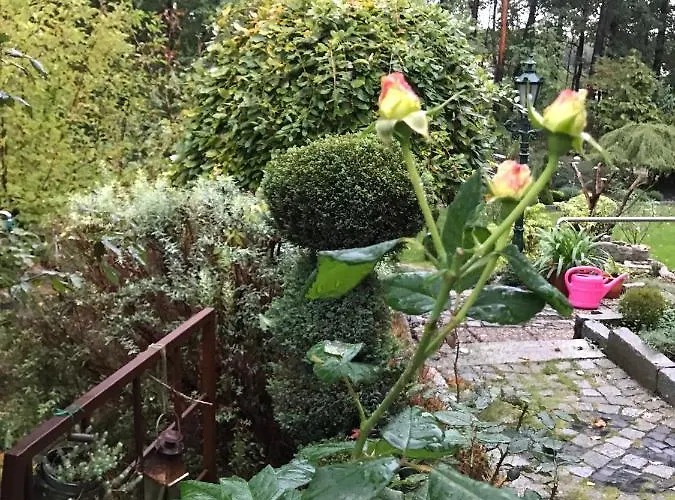 An Der Heide. Вайсвассер