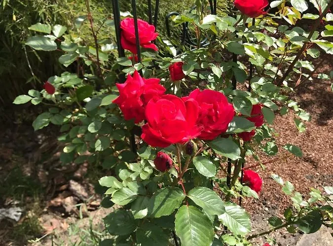 Дом отдыха An Der Heide.